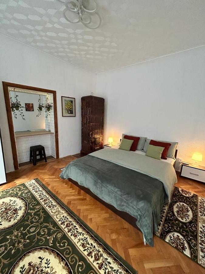 Guest House Rusu Brasov Exterior photo